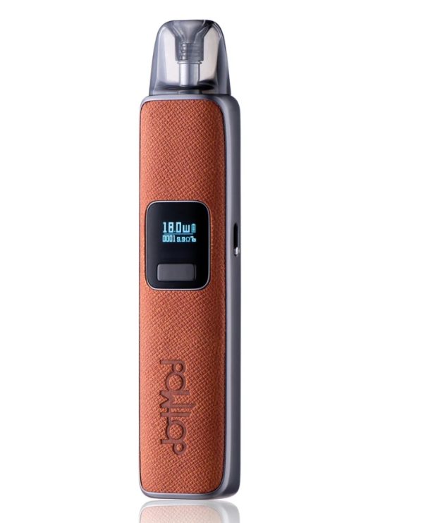 DOTMOD 佩特里 Dotpod Pro 棕色皮革主機外觀圖